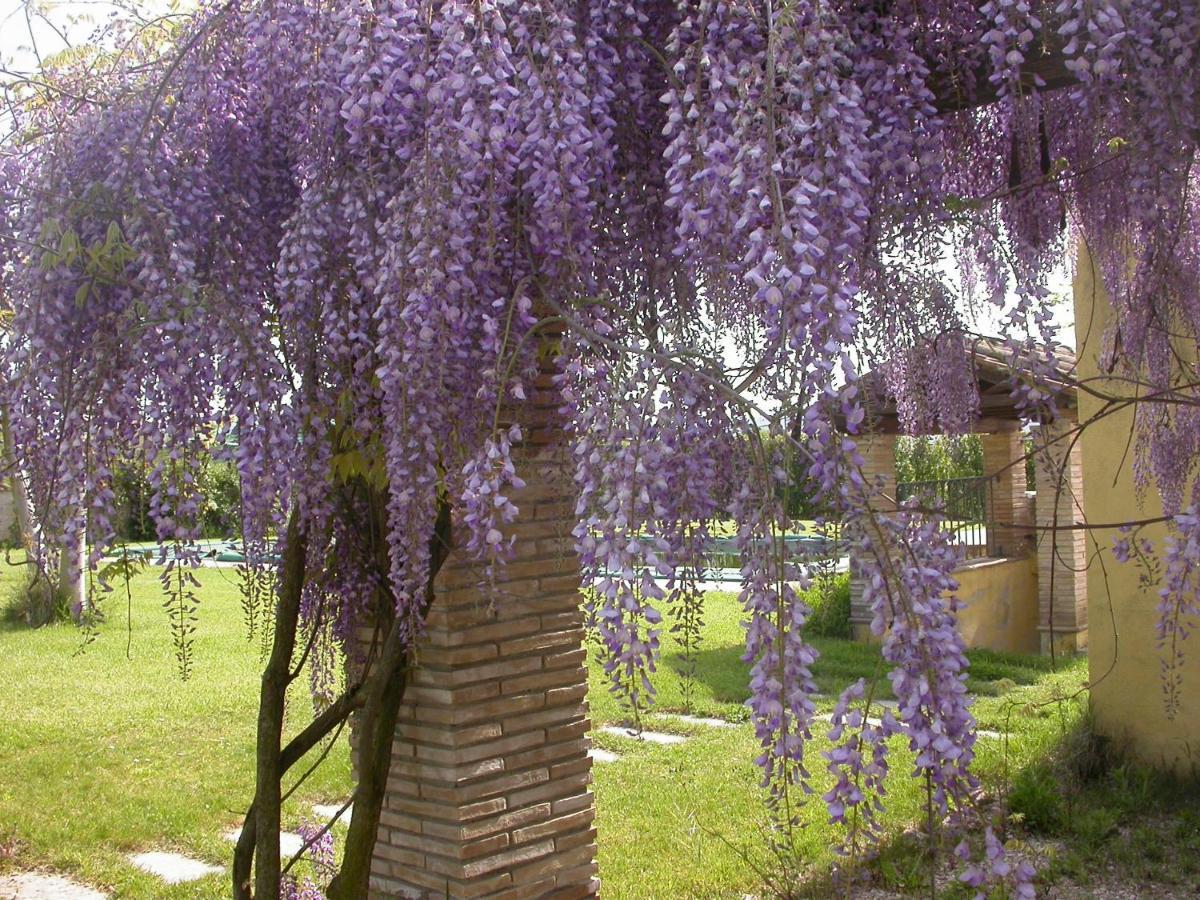 Casavacanze Sant'Eugenia Attigliano Kültér fotó