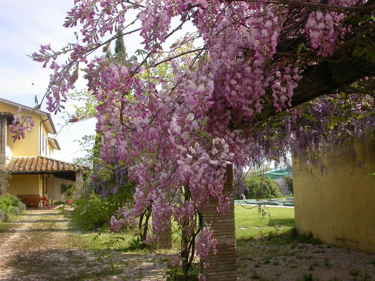 Casavacanze Sant'Eugenia Attigliano Kültér fotó